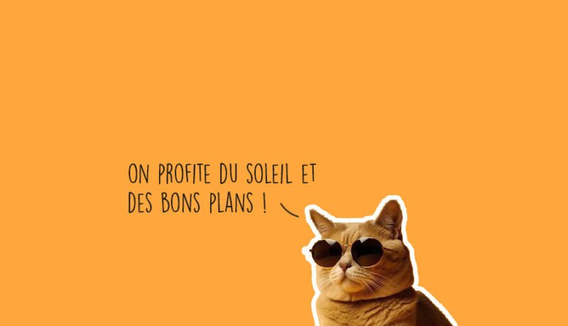 Que faire à Lyon ce week-end ? (07, 08 et 09 mars 2025) Modele BPDW