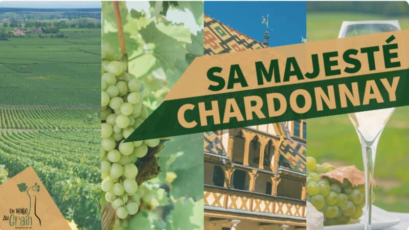 Atelier “Sa Majesté Chardonnay” chez Au Goulot