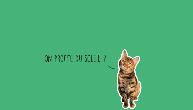 Que faire à Lyon ce week-end ? (28, 29 et 30 mars 2025)