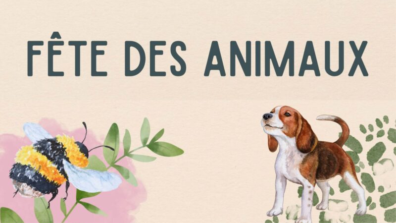 Que faire à Lyon ce week-end ? (11, 12 et 13 avril 2025) 488568501 1096645369173000 1063189647161295665 n