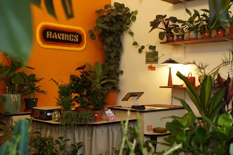 acheter plantes lyon racines boutique plantes tendance