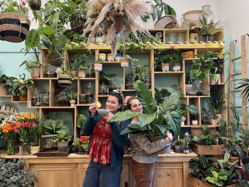 acheter des plantes a lyon un brin de folie café botanique