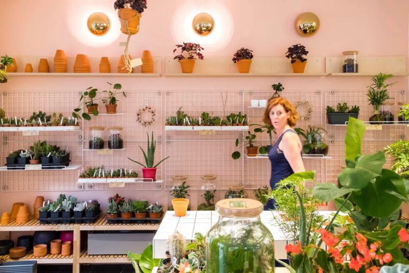 plantes boutique croix rousse accessoires plantes tendances lyon