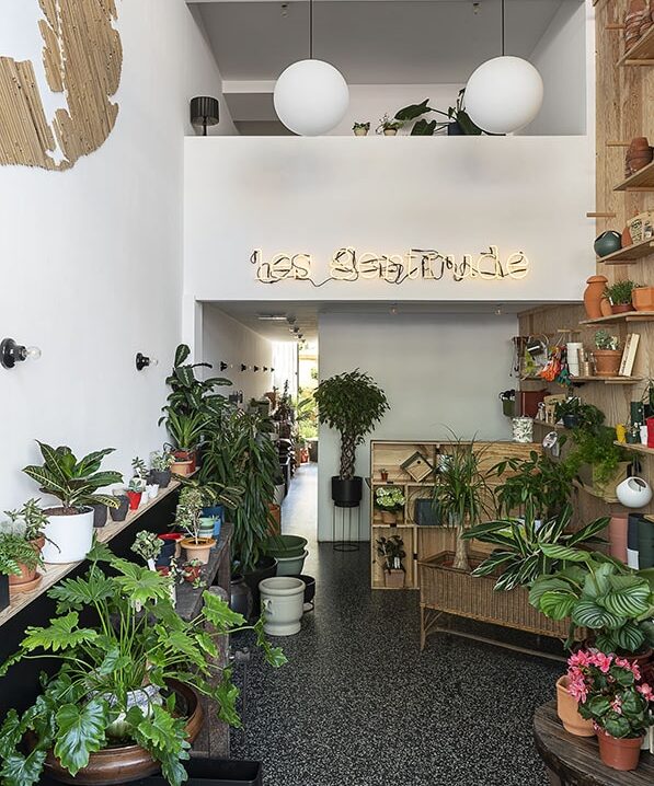 plantes intérieur extérieur lyon monplaisir les gertrude paysagistes lyon