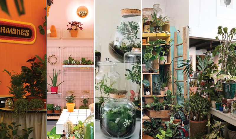 top boutiques pour plantes lyon meilleures boutiques plantes lyon