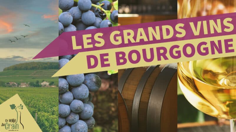 Atelier "Les Grands Vins Blancs de Bourgogne" chez Au Goulot