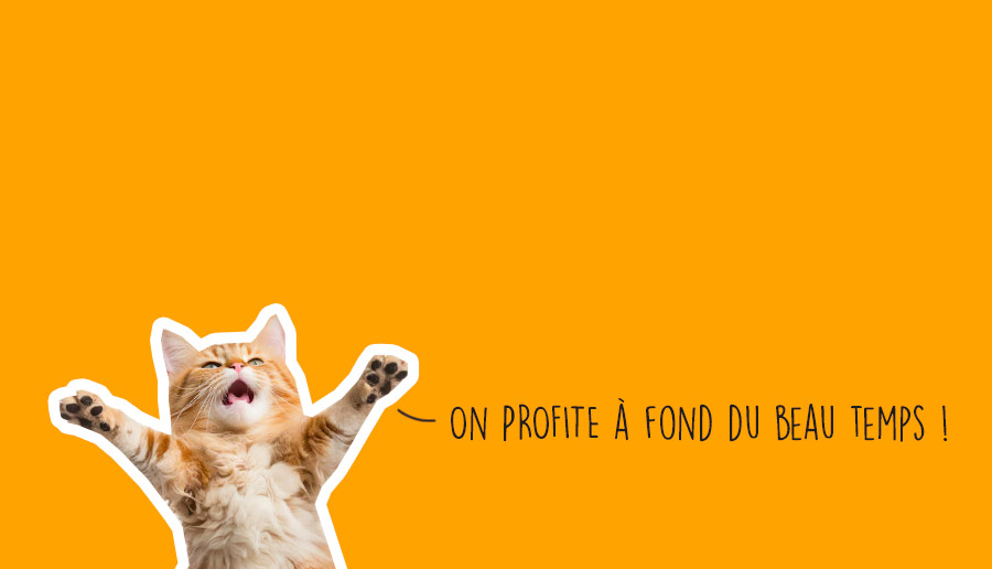 Que faire à Lyon ce week-end ? ( 24, 25 et 26 avril 2026)