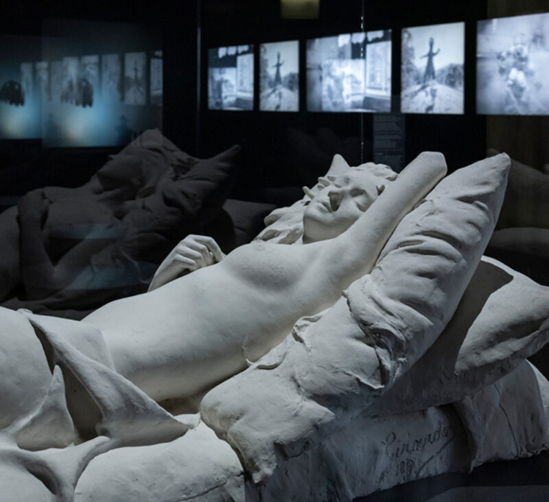 5 événements à ne pas manquer pendant la Nuit des Musées 2025 à Lyon nuitdesmusees2025 museedesconfluences