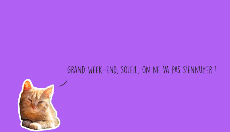 Que faire à Lyon ce week-end ? (02, 03 et 04 mai 2025)