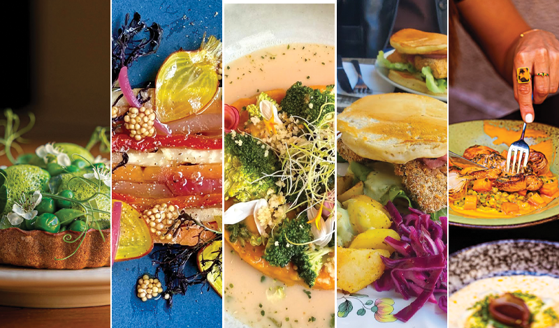 Top 10 des meilleurs restaurants végétariens de Lyon