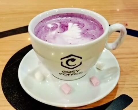 cosy coffee lyon meilleur ube