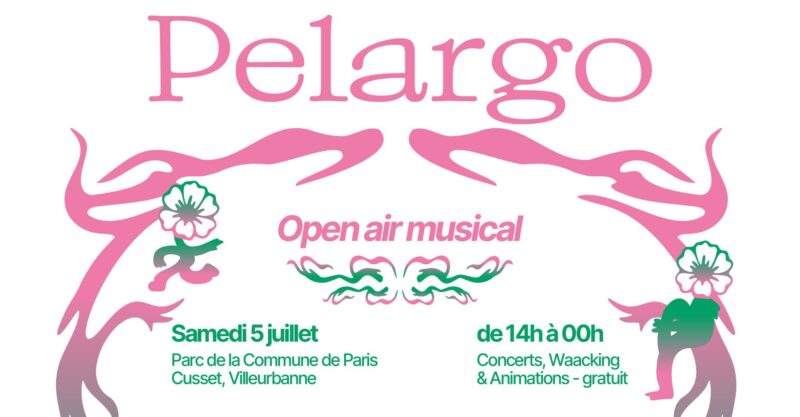 Tous les Open Air à ne pas manquer à Lyon cet été 2025 506522728 122164934372502753 1717566508775811622 n
