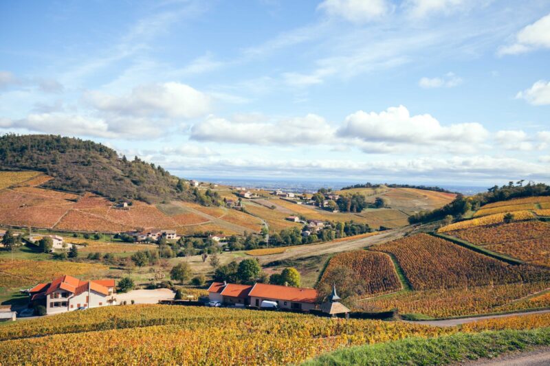 4 virées autour du vin responsable aux alentours de Lyon 96662611 114576113584711 2788568346549813248 n