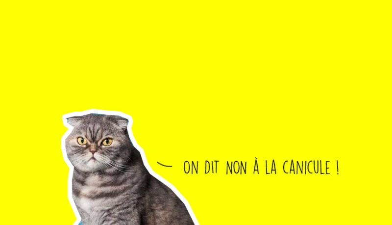 Que faire à Lyon ce week-end - Agenda des sorties Que faire à Lyon ce week-end - Agenda des sorties