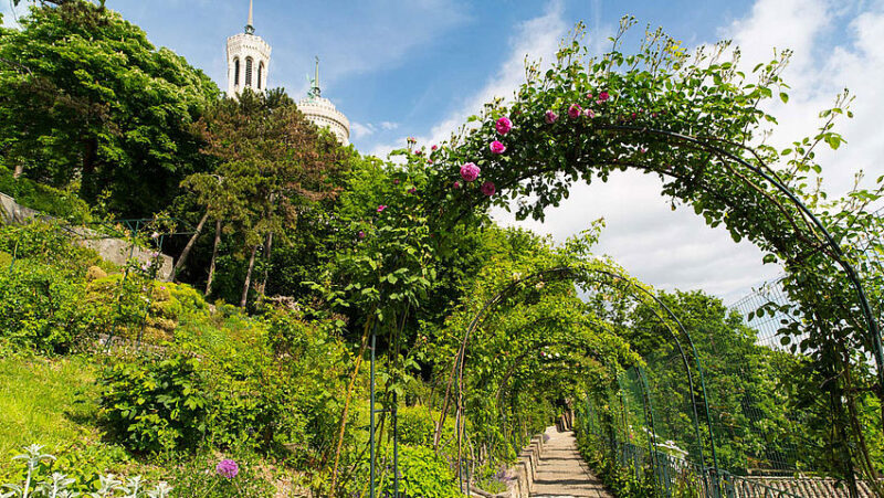 Jardin du Rosaire fourviere