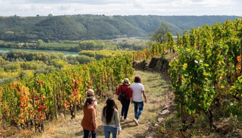 Samedi 12 juillet 2025 : Rando Wine au Domaine Clusel-Roch à Ampuis