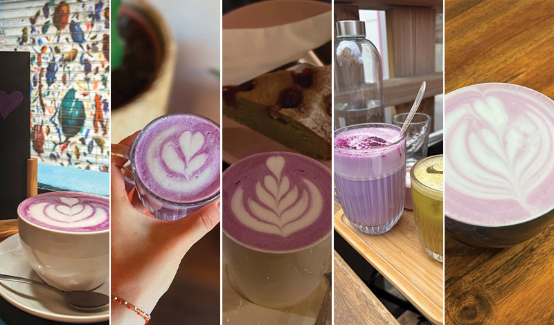 café ubé matcha boisson trendy instagrammable Où boire du ube à Lyon ?
