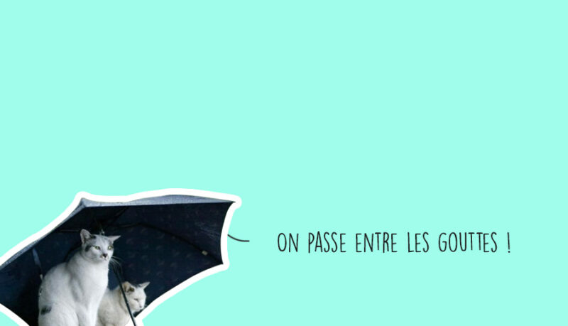 Que faire à Lyon ce week-end 