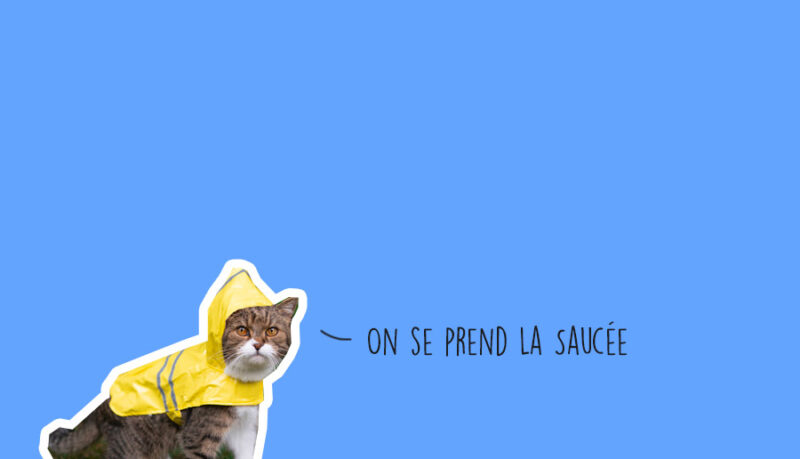 Que faire à Lyon ce week-end ? Agenda des sorties
