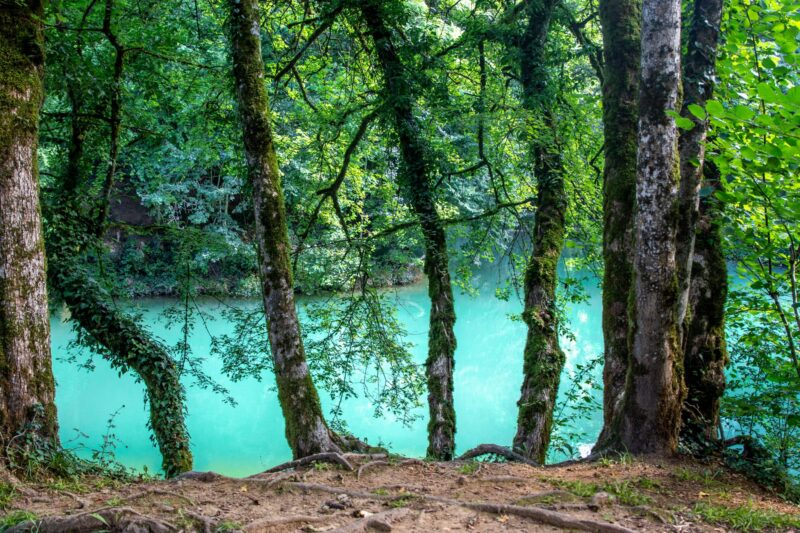 lac bleu foret balade de vareilles marilou perino 3 1