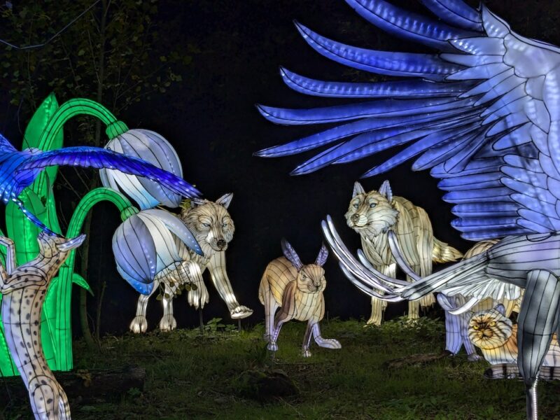 Safari de Peaugres
