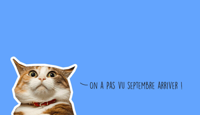 Agenda des sorties week-end à Lyon Agenda des sorties week-end à Lyon