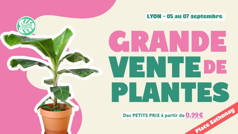 Que faire à Lyon ce week-end ? (5, 6 et 7 septembre 2025) 525149712 1194301836075884 1755416844853139624 n