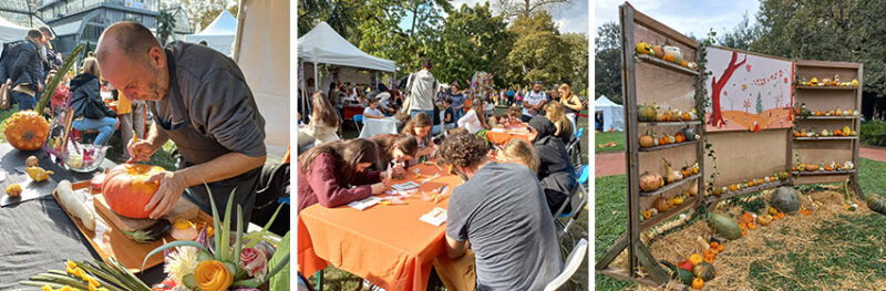 Festival des courges 