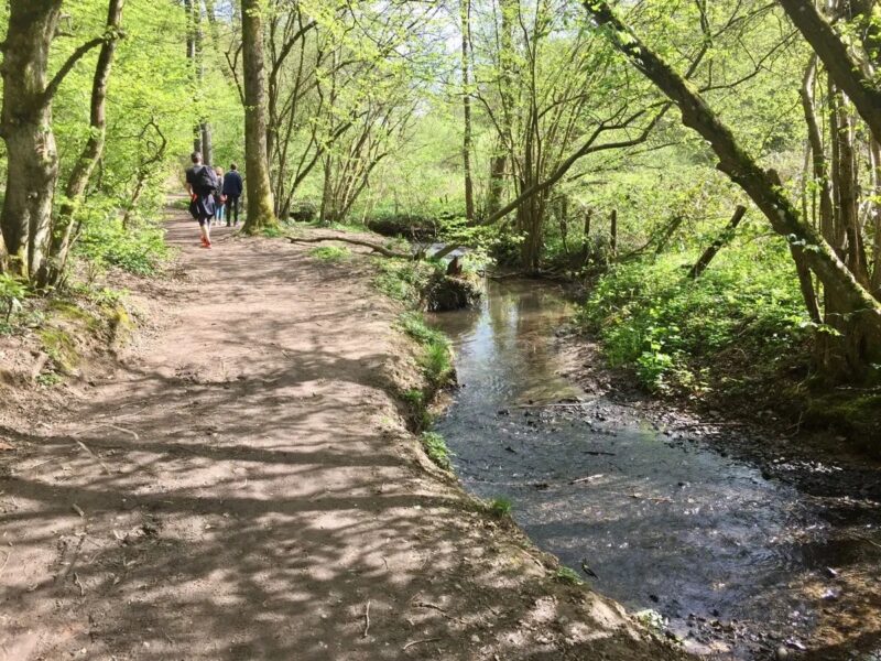 balade bois de serres