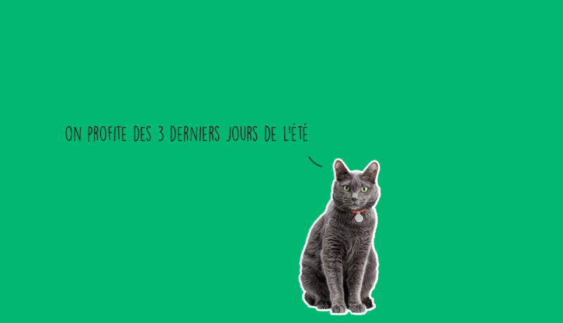 evenements week-end lyon