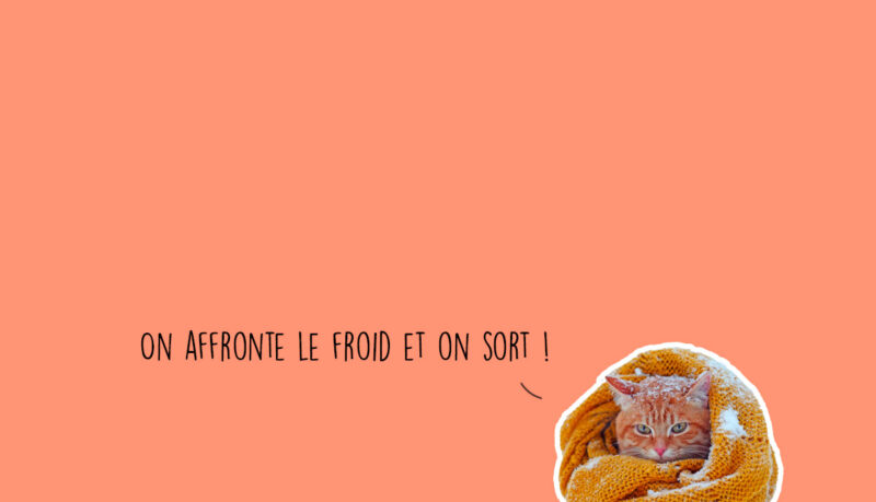 Que faire a Lyon ce week end Novembre 2025 1