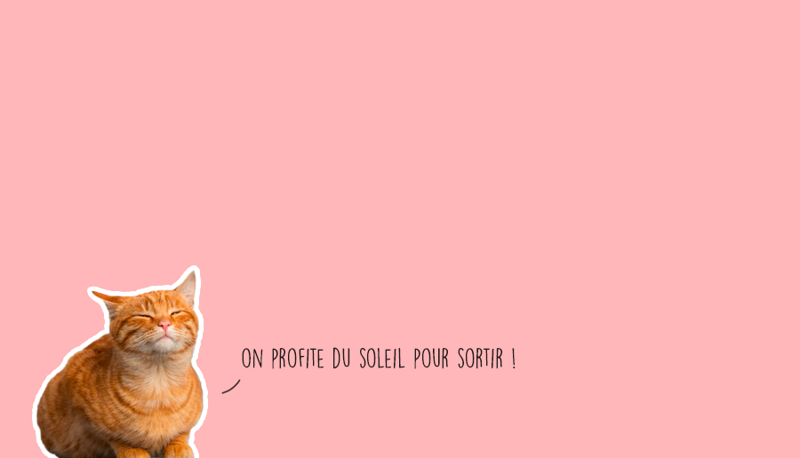 que faire a lyon ce week-end