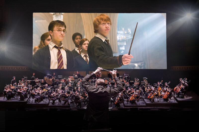 5 spectacles à Lyon à offrir pour Noël rsz harrypotterordrephenix