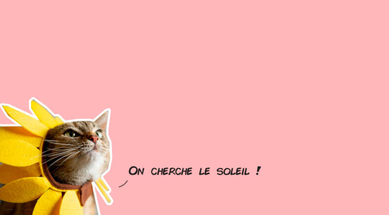 Que faire à Lyon ce week-end ? (14, 15, 16 et 17 mai 2026)