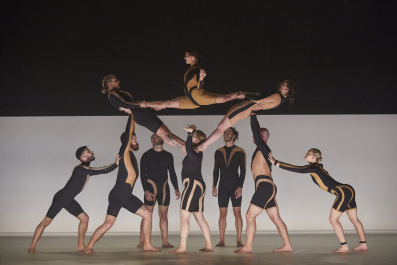 Spectacle Wolf compagnie Circa