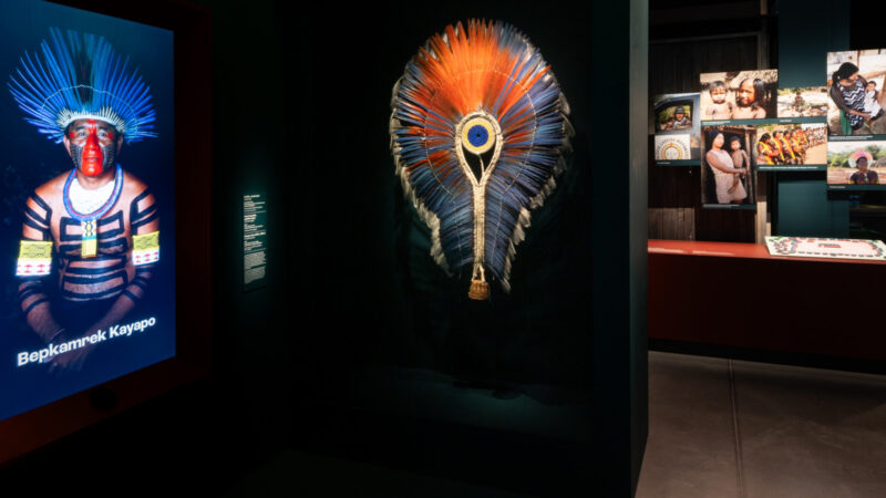 L'exposition Amazonies jusqu'au 8 février 2026 au Musée des Confluences