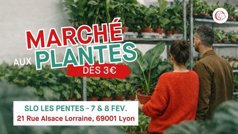 Que faire à lyon ce week-end ? (6, 7 et 8 février 2026) FB
