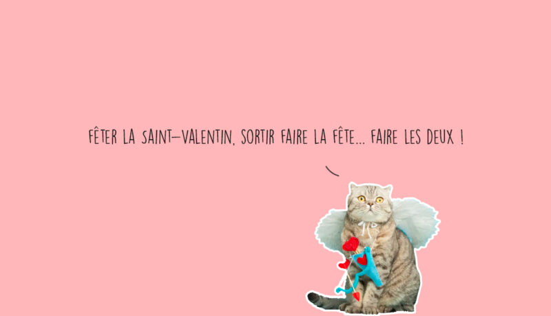 que faire a lyon ce week-end 13 14 15 février 2026