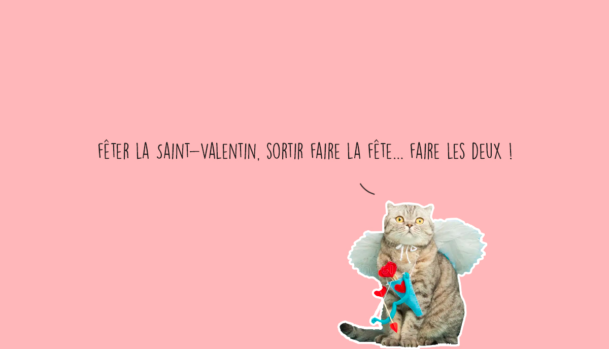 que faire a lyon ce week-end 13 14 15 février 2026