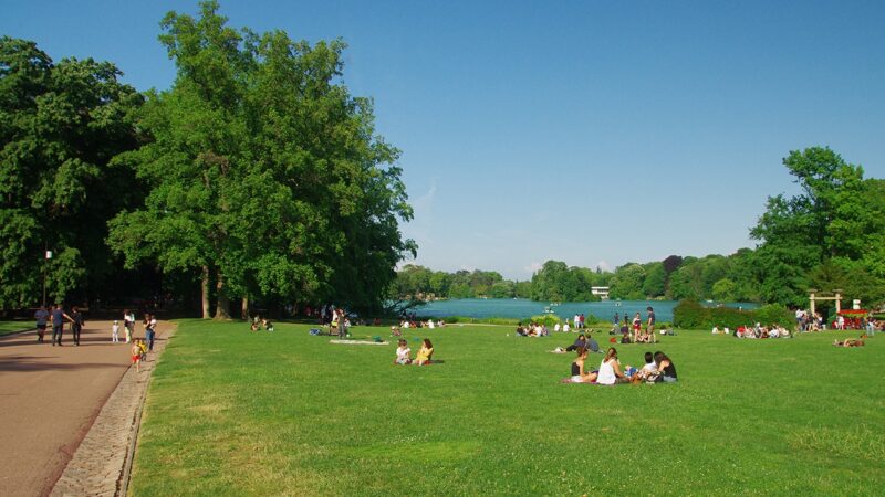 Que faire à Lyon cette semaine (du 25 au 29 mai 2026)