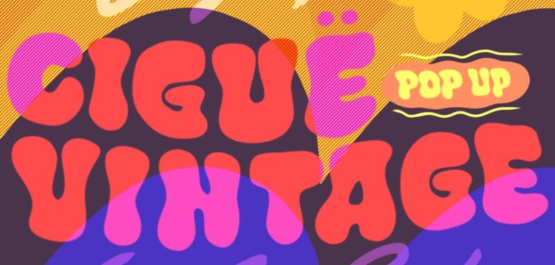 Pop-Up Ciguë à Akka Studio