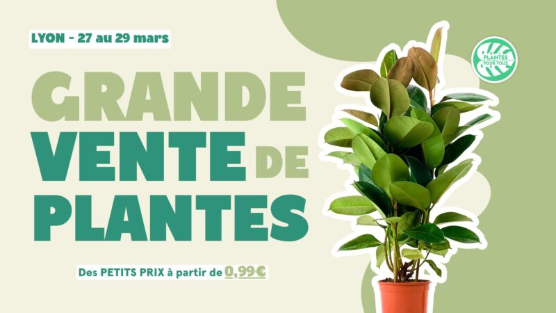 Grande Vente de Plantes à In-Sted 646200933 1374745584698174 1080163228353086452 n