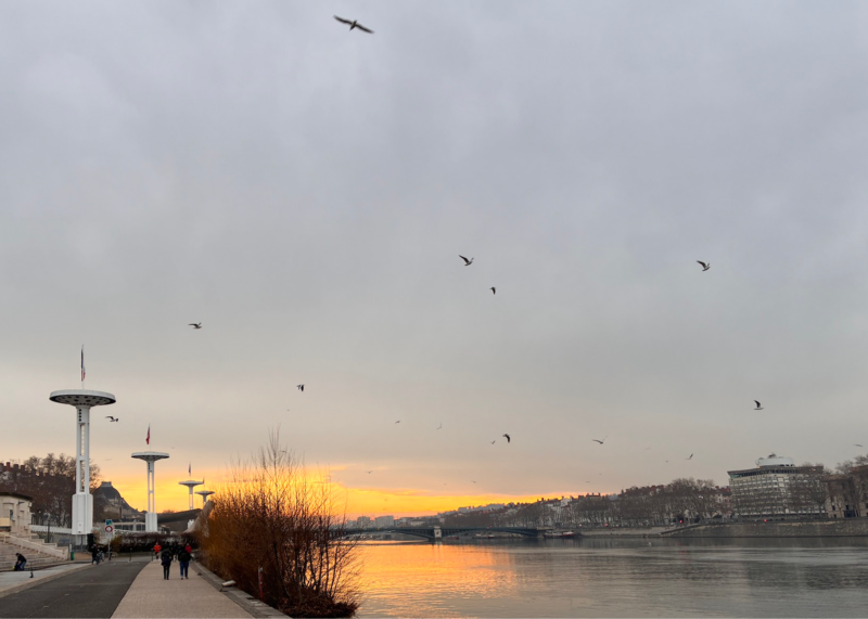 Que faire à Lyon cette semaine ? - Agenda des sorties Que faire à Lyon cette semaine ? - Agenda des sorties