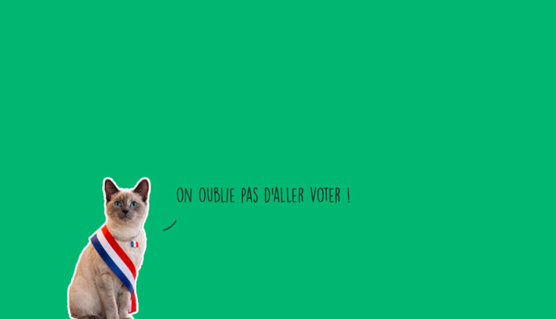Que faire à Lyon ce week-end ? (20, 21 et 22 mars 2026)