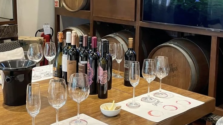 degustation soirée vin lyon mai 2026