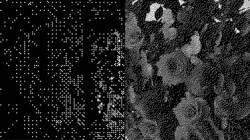 641367120 903264765951995 666011532406849974 n