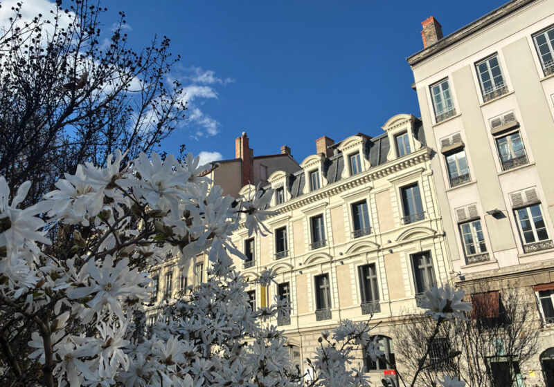 Que faire à Lyon cette semaine - Agenda des sorties à Lyon