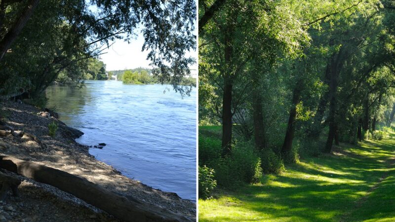 Où pique-niquer à Lyon : nos spots préférés par arrondissement Parc naturel de la Feyssine
