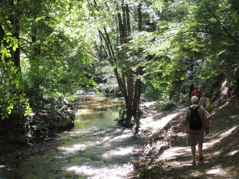 Randonnee guidee au bord du Garon Destination Monts du Lyonnais