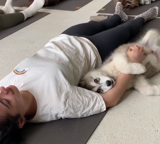 Cadeau de fête des mères : Puppy Yoga
